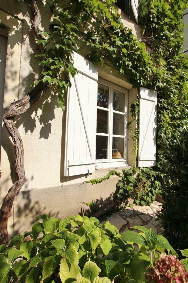 Villa Saint-Georges 沃苏勒 外观 照片